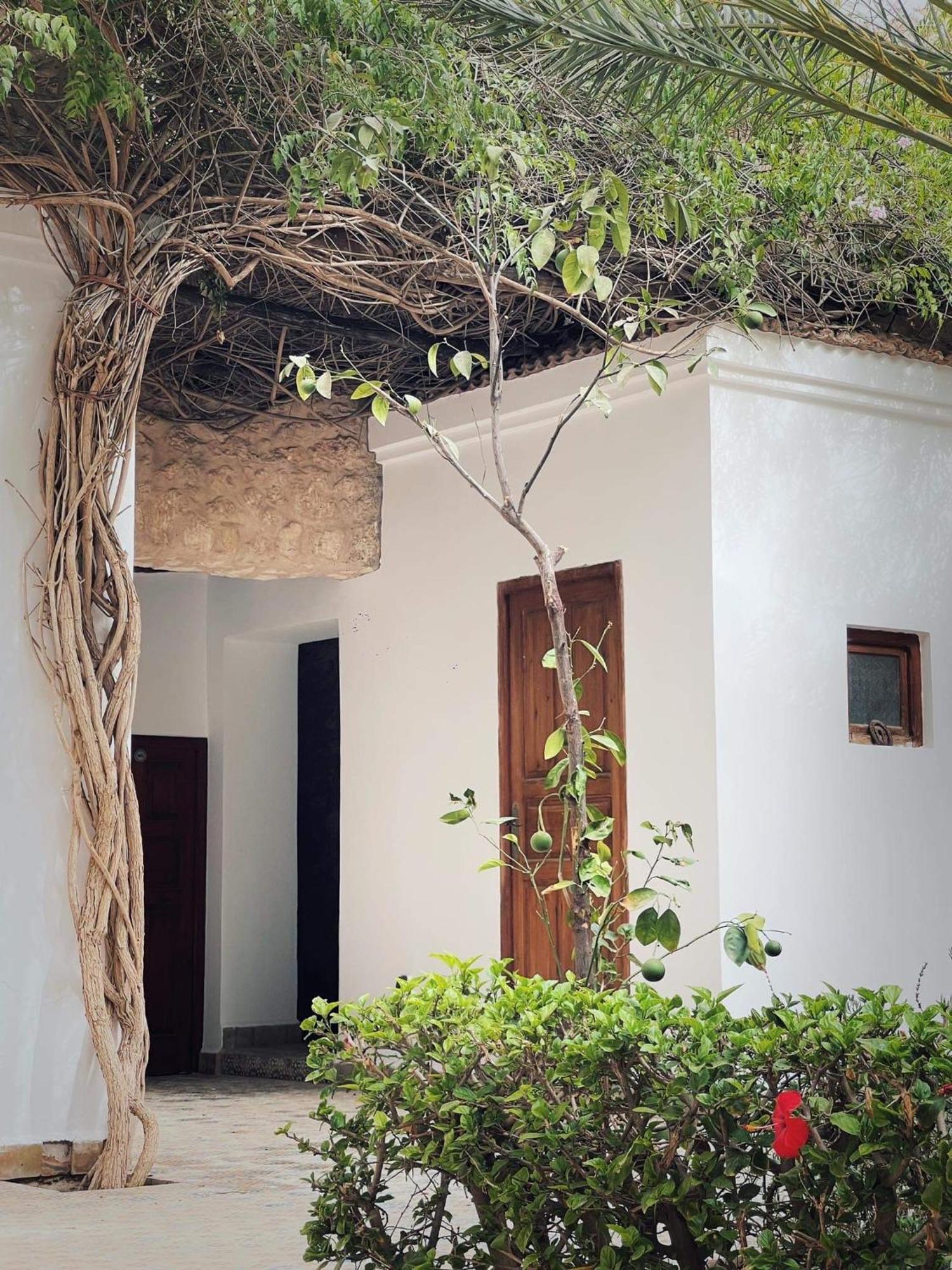 Chateau D'Orient Essaouira Exteriör bild